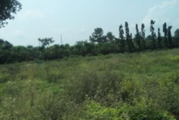 R-3, Residential  Land / Plots For Sale At Langha Road,Dehradun